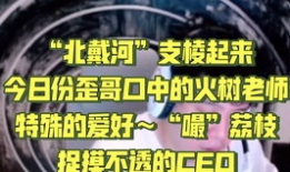 战哥爆料吃瓜复盘,吃瓜复盘，带你领略娱乐圈幕后风云